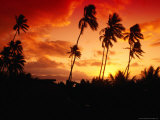Palm Trees At Sunset, Fiji Lámina fotográfica por Casey Mahaney Palm Trees At Sunset, Fiji Lámina fotográfica por Casey Mahaney
