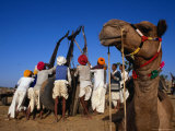 Camel and Men Working on Camel Cart, Pushkar, Rajasthan, India Photographie par Dallas Stribley