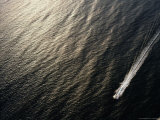 A Power Boat Streaks Across Sunlit Waters off Surfers Paradise, Queensland, Australia Fotografie-Druck von Richard I'Anson