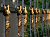 Crucifix's in Cemetary of Church of Ss Peter and Paul, Prague, Czech Republic Photographic Print by Martin Moos