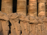 Avenue of Ram Headed Sphinxes at Karnak Temple, Luxor, Egypt Photographic Print by Chris Mellor
