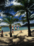 Beach at Catseye Bay on the Great Barrier Reef,Hamilton Island, Queensland, Australia Fotografie-Druck von Richard I'Anson