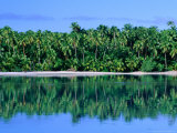 Palm Trees on Aitutaki Lagoon, Aitutaki, Southern Group, Cook Islands Photographie par John Banagan