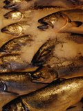 Fish on Ice at Pike Place Market, Seattle, USA Fotografie-Druck von Richard I'Anson