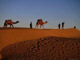 Camels and Their Herders in the Sam Desert, Jaisalmer, Rajasthan, India Photographic Print by Jane Sweeney