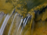 Water Pouring off Mineral Deposits from Thermal Springs, Yellowstone National Park, Wyoming, USA Photographic Print by Gareth McCormack