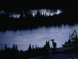 Bighorn Sheep (Ovis Canadensis) Near Hidden Lake, Glacier National Park, Montana, USA Photographie par Gareth McCormack