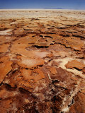 Detail of Dried and Cracked Salt, Salar De Uyuni, Bolivia Photographie par Woods Wheatcroft