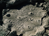 Bubbling Mud from Geysers Near Sol De Manana, Sol De Manana, Bolivia Photographic Print by Woods Wheatcroft