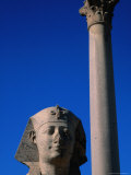 Granite Column of Pompey's Pillar - Alexandria, Egypt Photographic Print by Patrick Syder