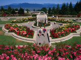 Couple Walking Through University of British Columbia Rose Garden, Vancouver, Canada Photographic Print by Rick Gerharter