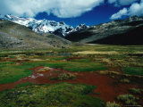 Stream Passing Over Flat Grassland, with Snow-Capped Mountains in Distance, Peru Fotografie-Druck von Richard I'Anson