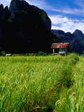 Stilted House Surrounded by Limestone Cliffs and Fields, Vang Vieng, Laos Photographie par Ryan Fox
