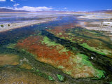 Thermal Hot Springs' Run-Off on Altiplano, Lake Verde, Bolivia Fotoprint van Brent Winebrenner Thermal Hot Springs' Run-Off on Altiplano, Lake Verde, Bolivia Fotoprint van Brent Winebrenner