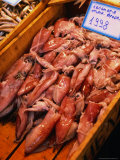 Calamari at Central Market, Athens, Attica, Greece Photographic Print by Alan Benson