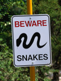 Snake Sign at Museum of Modern Art in Heidi, Melbourne, Australia Photographic Print by John Banagan