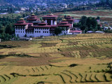 Fields with Trashichhoe Dzong in Background, Thimphu, Bhutan Photographic Print by Nicholas Reuss