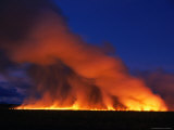 Harvested Sugar Cane Fields Burning Off, Mossman, Australia Photographie par Dennis Jones