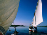 Fishing Sail Boats, or Felluca's, on Nile River, Egypt Photographie par Jane Sweeney