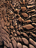Dried Mud, Death Valley, USA Photographic Print by Richard Nebesky