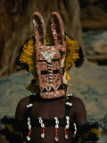 Masked Dancer at the Dama Festival in Dogon Country, Ireli, Mopti, Mali Photographie par Ariadne Van Zandbergen