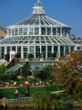 Palm House or Palmehus, Greenhouse in the Botanic Gardens, Copenhagen, Denmark Photographic Print by Anders Blomqvist
