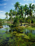 Village and Lagoon, Marang, Terengganu, Malaysia Photographie par Richard I'Anson
