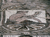 Ancient Mosaic, Petra, Ma'An, Jordan Photographic Print by Jane Sweeney