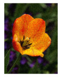 Beautiful Flower Giclée-Druck von Wilson Valentin