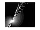Evening Sparkle II Fotografie-Druck von Ruth Palmer