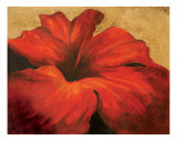 Red Hibiscus Giclee Print by Deborah Florence