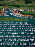 Guld Harbour Marina on the Whangaparaoa Peninsula, Northland, New Zealand Photographic Print by David Wall