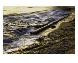 Rusty Pipe Photographie par Doug Dailey