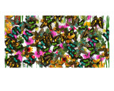 Butterfly Collector Photographic Print by Tamara Pasztor
