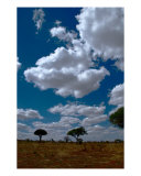 Everyday Serengeti Sky Photographic Print by M. Dang