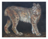 Siberian Lynx Giclée-Druck von Dean Vigyikan