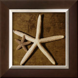 Starfish Prints by Caroline Kelly
