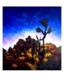 Harlequin In Hiding Photographic Print by Anett Kilen Kennedy
