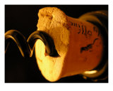 Moment Of Joy Fotografie-Druck von Denis Vieira