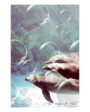 Dolphin Bubbles Photographie par Valerie Cooper