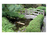 Japanese Garden Bridge Photographic Print by William Luo