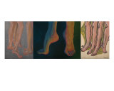 Trio II Giclee Print by H.f. Holtgrefe