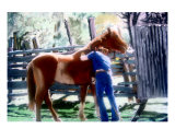 061907 Louisiana Cowboy Giclee Print by Garland Oldham