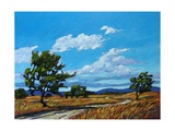 Windy Day In Colorado Giclee Print by Patty Baker