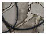 Soaker Hose On Broken Concrete Photographic Print by Bart Ross