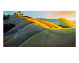 Runners In Poly Canyon Giclee-trykk av Dan Berkeland Runners In Poly Canyon Giclee-trykk av Dan Berkeland