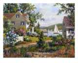 In The Cove Photographic Print by Gary Shepard