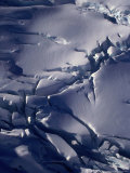 West Coast Glacier, Southern Alps, Westland National Park, West Coast, New Zealand Photographic Print by David Wall