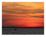 Homeward Bound Photographic Print by Debbie Moore