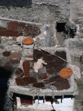 Drying Apricots on Rooftop, Altit, Pakistan Photographie par Richard I'Anson